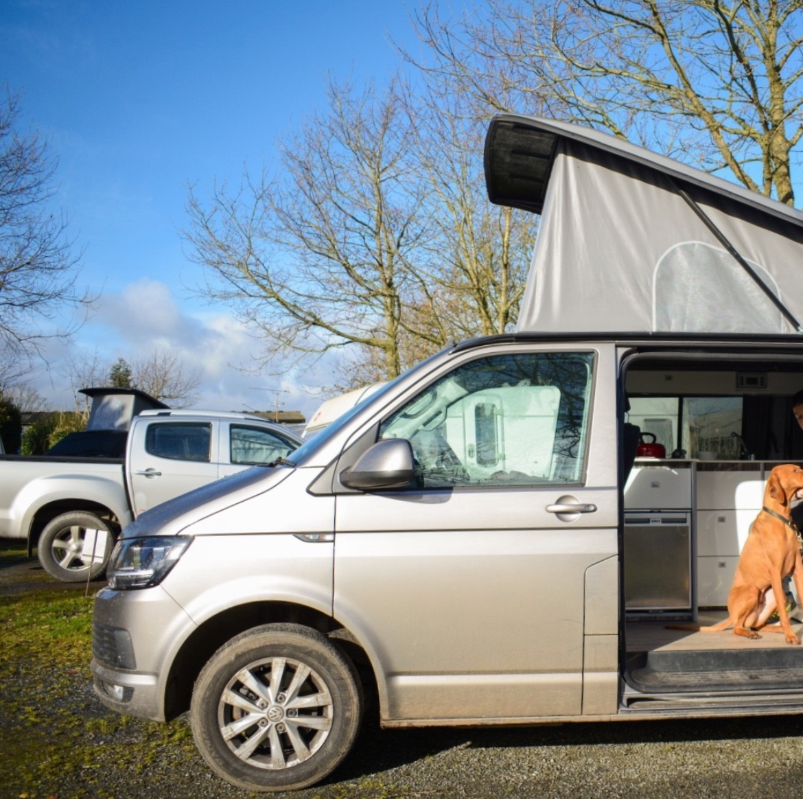 Pet Friendly Campervan Hire Glasgow